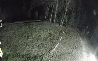 Kasina Wielka - widok z górnej s - 03-11-2025 04:00