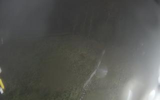 Kasina Wielka - widok z górnej s - 03-11-2025 16:55