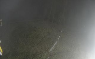 Kasina Wielka - widok z górnej s - 04-11-2025 00:25