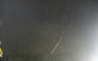 Kasina Wielka - widok z górnej s - 04-11-2025 00:32