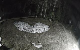Kasina Wielka - widok z górnej s - 01-05-2026 00:21
