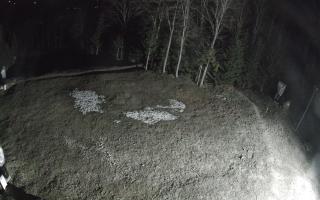 Kasina Wielka - widok z górnej s - 03-05-2026 01:00