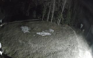 Kasina Wielka - widok z górnej s - 03-05-2026 01:14