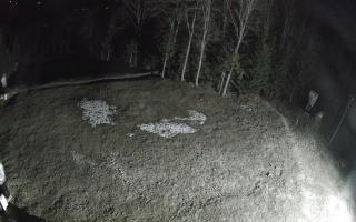 Kasina Wielka - widok z górnej s - 03-05-2026 01:28