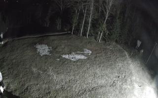 Kasina Wielka - widok z górnej s - 03-05-2026 01:42