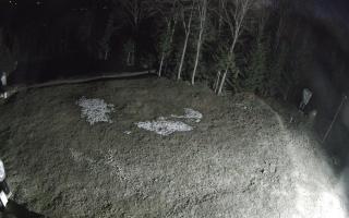 Kasina Wielka - widok z górnej s - 03-05-2026 01:49