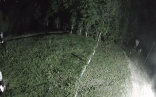 Kasina Wielka - widok z górnej s - 12-06-2026 23:00