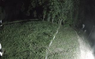 Kasina Wielka - widok z górnej s - 12-06-2026 23:07