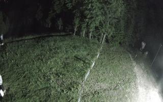 Kasina Wielka - widok z górnej s - 13-06-2026 00:45