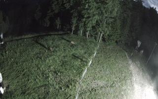Kasina Wielka - widok z górnej s - 13-06-2026 01:27