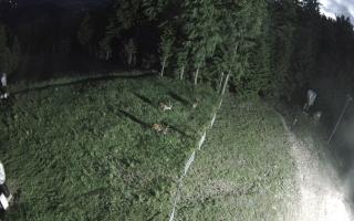 Kasina Wielka - widok z górnej s - 13-06-2026 01:34
