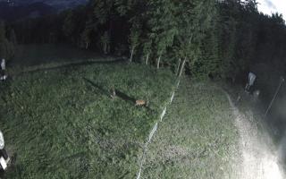 Kasina Wielka - widok z górnej s - 13-06-2026 01:41