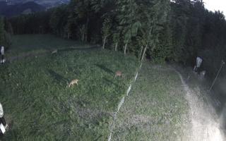 Kasina Wielka - widok z górnej s - 13-06-2026 01:48