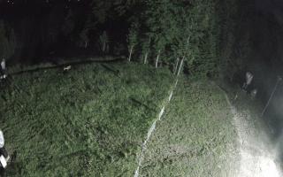 Kasina Wielka - widok z górnej s - 17-06-2026 20:18