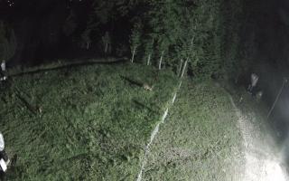 Kasina Wielka - widok z górnej s - 17-06-2026 20:25