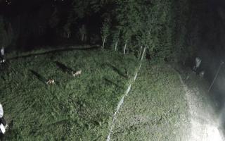 Kasina Wielka - widok z górnej s - 17-06-2026 20:32