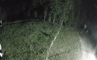 Kasina Wielka - widok z górnej s - 17-06-2026 22:10