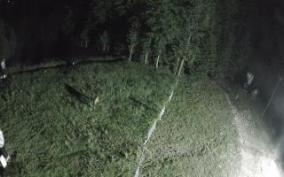 Kasina Wielka - widok z górnej s - 17-06-2026 22:46