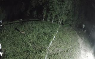 Kasina Wielka - widok z górnej s - 17-06-2026 22:53