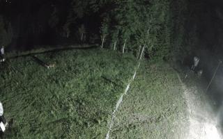 Kasina Wielka - widok z górnej s - 17-06-2026 23:07