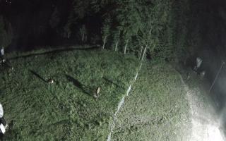Kasina Wielka - widok z górnej s - 18-06-2026 00:03