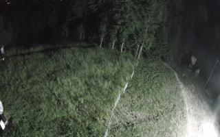 Kasina Wielka - widok z górnej s - 27-06-2026 20:55