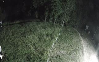 Kasina Wielka - widok z górnej s - 27-06-2026 21:02