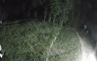 Kasina Wielka - widok z górnej s - 27-06-2026 22:05