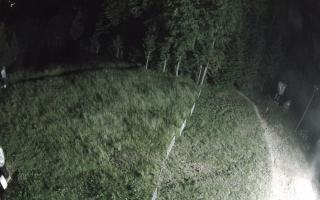 Kasina Wielka - widok z górnej s - 27-06-2026 23:44
