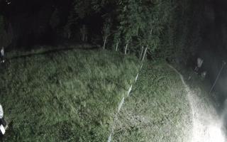 Kasina Wielka - widok z górnej s - 27-06-2026 23:51