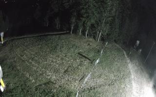 Kasina Wielka - widok z górnej s - 01-08-2026 19:24