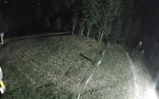 Kasina Wielka - widok z górnej s - 01-08-2026 19:45