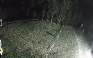 Kasina Wielka - widok z górnej s - 01-08-2026 21:24