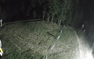 Kasina Wielka - widok z górnej s - 01-08-2026 21:45