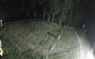Kasina Wielka - widok z górnej s - 01-08-2026 22:48