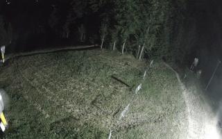 Kasina Wielka - widok z górnej s - 01-08-2026 22:55