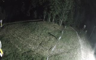 Kasina Wielka - widok z górnej s - 01-08-2026 23:02