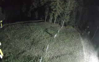 Kasina Wielka - widok z górnej s - 17-10-2026 02:44