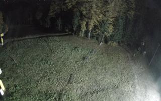 Kasina Wielka - widok z górnej s - 26-10-2026 21:06