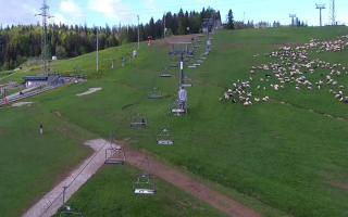 Bania - widok stoku - 04-05-2025 07:08