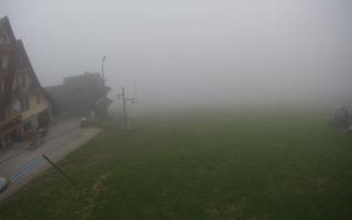 UFO ski w Bukowinie Tatrzańskiej - 16-06-2025 15:43