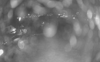 UFO ski w Bukowinie Tatrzańskiej - 02-08-2025 01:10