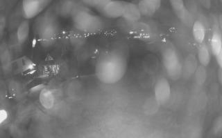 UFO ski w Bukowinie Tatrzańskiej - 02-08-2025 01:26