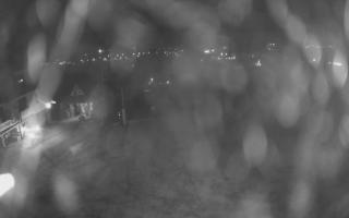 UFO ski w Bukowinie Tatrzańskiej - 03-11-2025 00:34