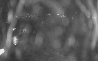 UFO ski w Bukowinie Tatrzańskiej - 03-11-2025 21:36