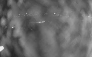 UFO ski w Bukowinie Tatrzańskiej - 13-12-2025 18:35