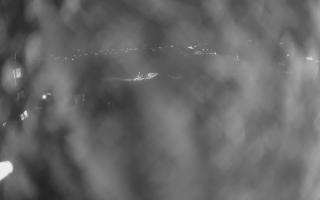 UFO ski w Bukowinie Tatrzańskiej - 18-12-2025 18:31