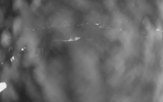 UFO ski w Bukowinie Tatrzańskiej - 18-12-2025 18:46