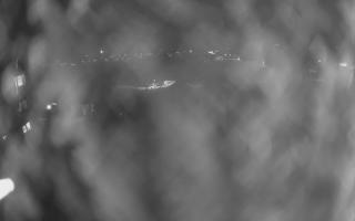 UFO ski w Bukowinie Tatrzańskiej - 18-12-2025 19:17