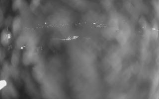 UFO ski w Bukowinie Tatrzańskiej - 18-12-2025 19:32